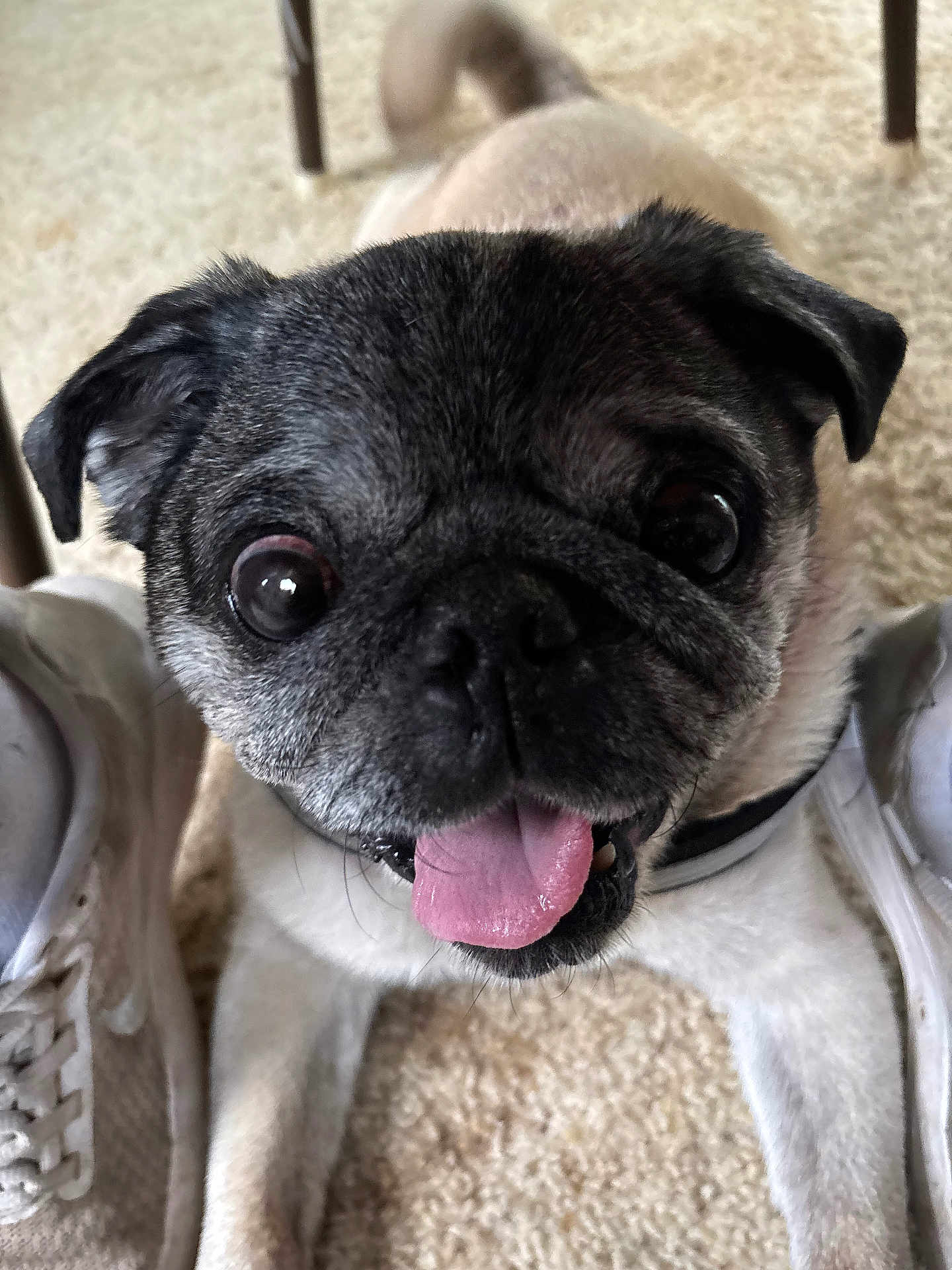 Max