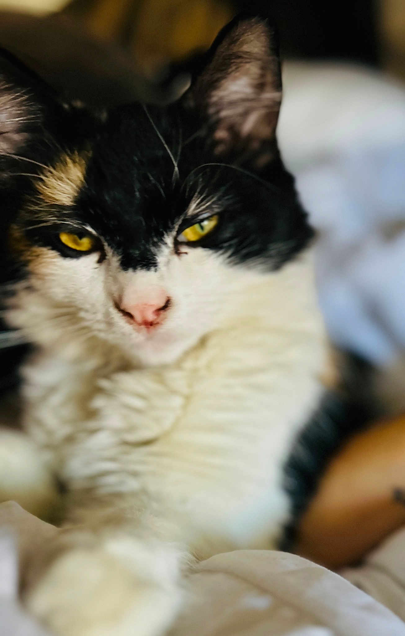 Lucy