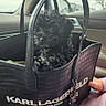 dog, puppy, handbag, black_dog, car_interior, person, nails, fashion, luxury_brand, cute, pet, sitting, window, reflection, leather, accessory, small_dog, portrait, indoors, holding
