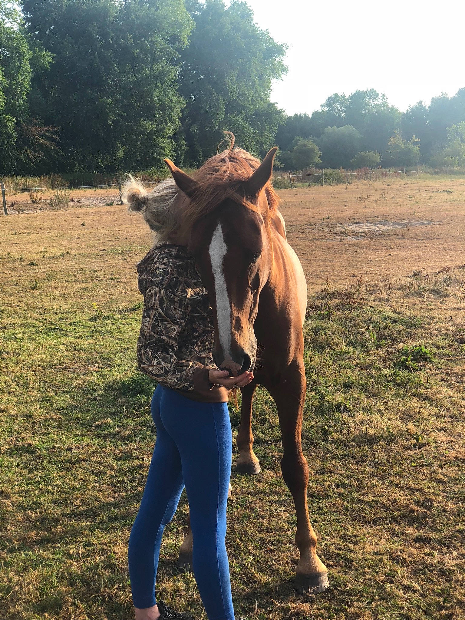 Sybelle participe au concours pour gagner de l'argent avec cette photo : bridle, farm, field, grass, grassland, horse, horse_supplies, landscape, livestock, mammal, mane, mare, mustang_horse, pasture, ranch, riding_instructor, rural_area, sky, stallion, working_animal