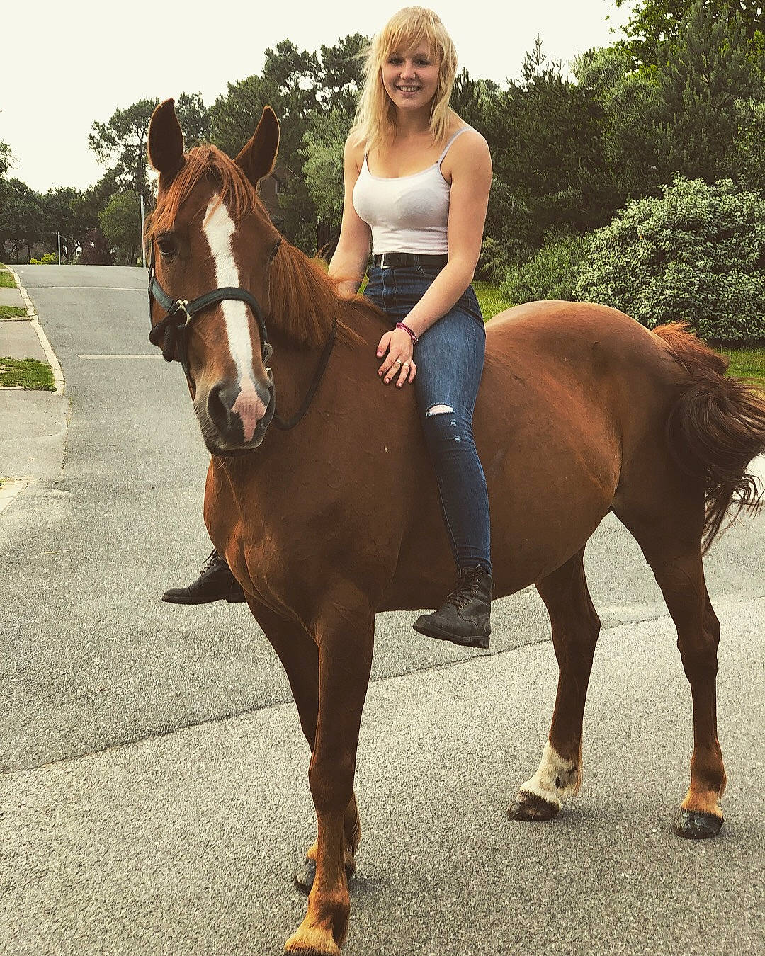 Sybelle participe au concours pour gagner de l'argent avec cette photo : animal_sports, bridle, cool, english_riding, equestrian_sport, equestrianism, halter, horse, horse_supplies, horse_tack, lady, mammal, mane, mare, recreation, rein, riding_instructor, saddle, stallion, vertebrate