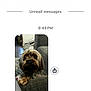 animal, brown_dog, carpet, companion, couch, cozy, curious, cute, dog, domestic_animal, fluffy, fur, furniture, home, indoor, living_room, looking_up, paw, pet, small_dog
