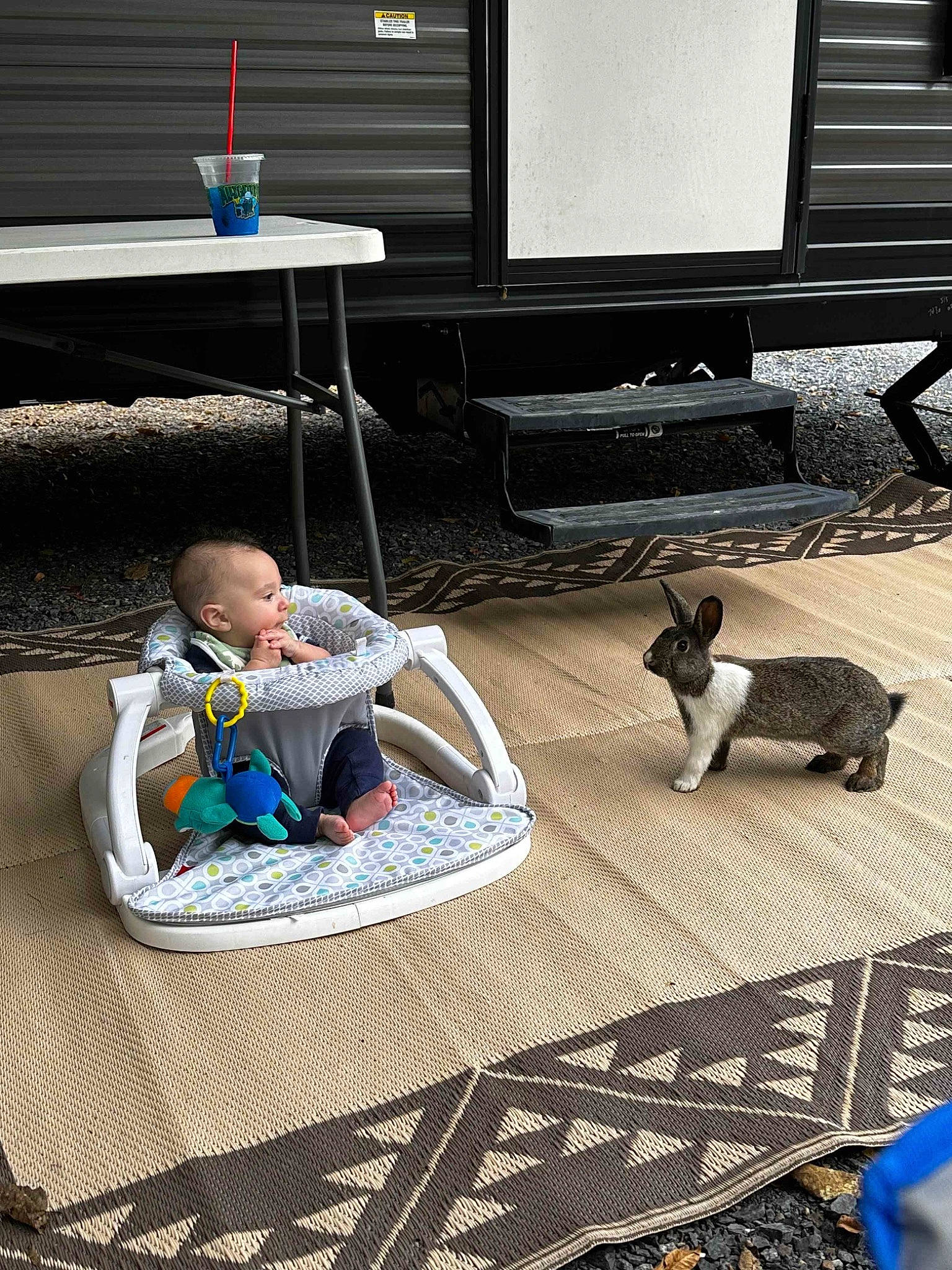 Aiden is registered to the contest to win money with this photo: baby, black, blue, carpet, comfort, felidae, floor, flooring, grass, hardwood, leisure, output_device, person, play, room, sitting, table, tail, television, toddler