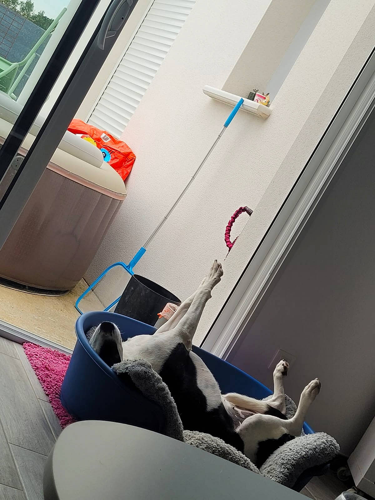 Pépite a rejoint le concours — aidez-le/la à gagner de superbes lots ! automotive_design, automotive_exterior, building, carmine, ceiling, comfort, daylighting, design, flooring, human_leg, interior_design, leisure, material_property, motor_vehicle, room, sitting, tints_and_shades, vehicle_door, window, windshield