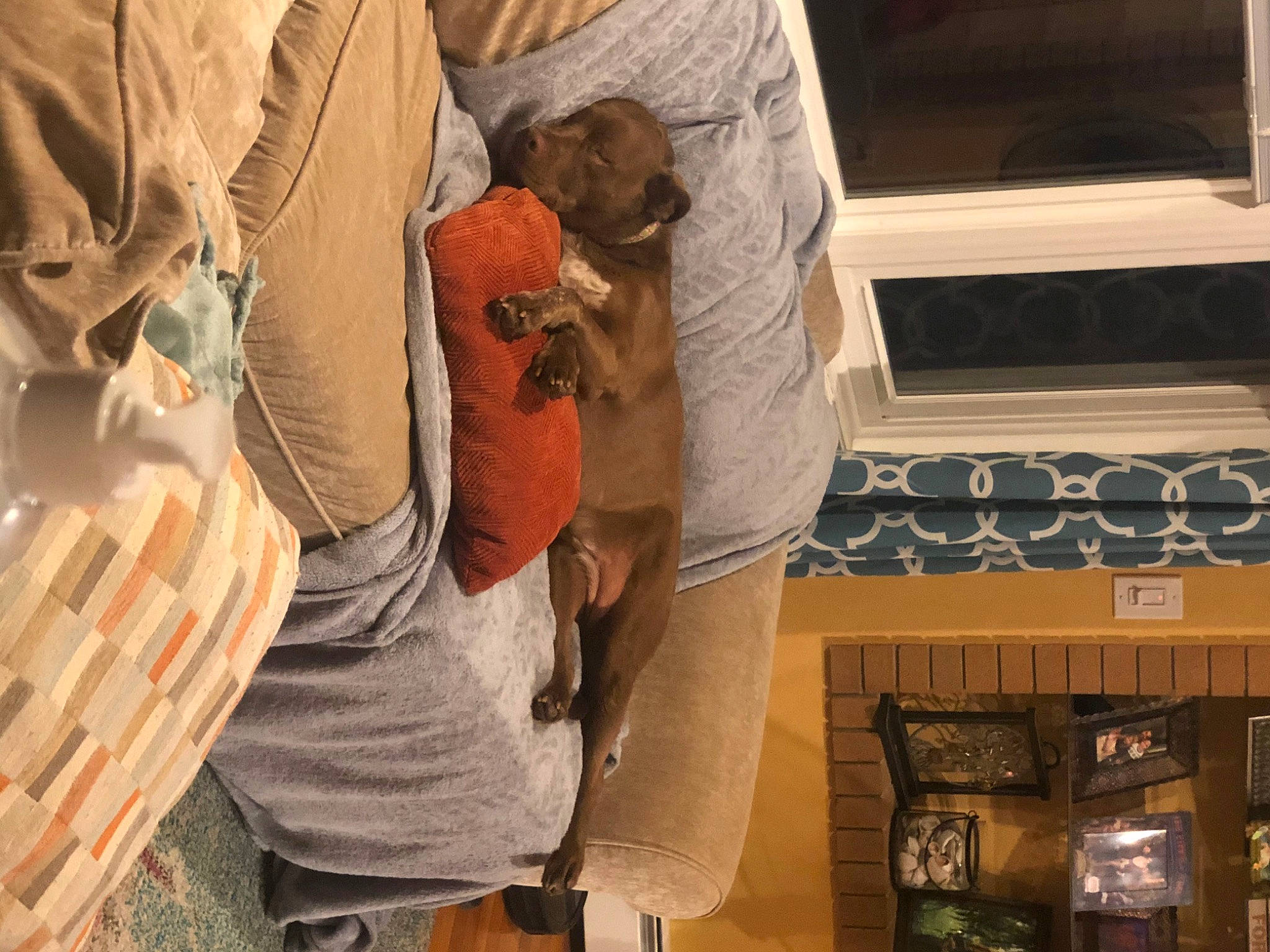 Tess is registered to the contest to win money with this photo: art, flooring, landscape, peach, room, sitting, t_shirt, textile, visual_arts, wall, wood