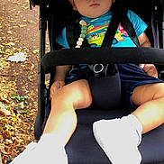 Ayden participe au concours pour gagner de l'argent avec cette photo : toddler, stroller, sleeping, child, blue_shirt, white_shoes, outdoor, autumn, leaves, pavement, baby, person, footwear, sitting, relaxed, daylight, casual_clothing, seat, resting, nature