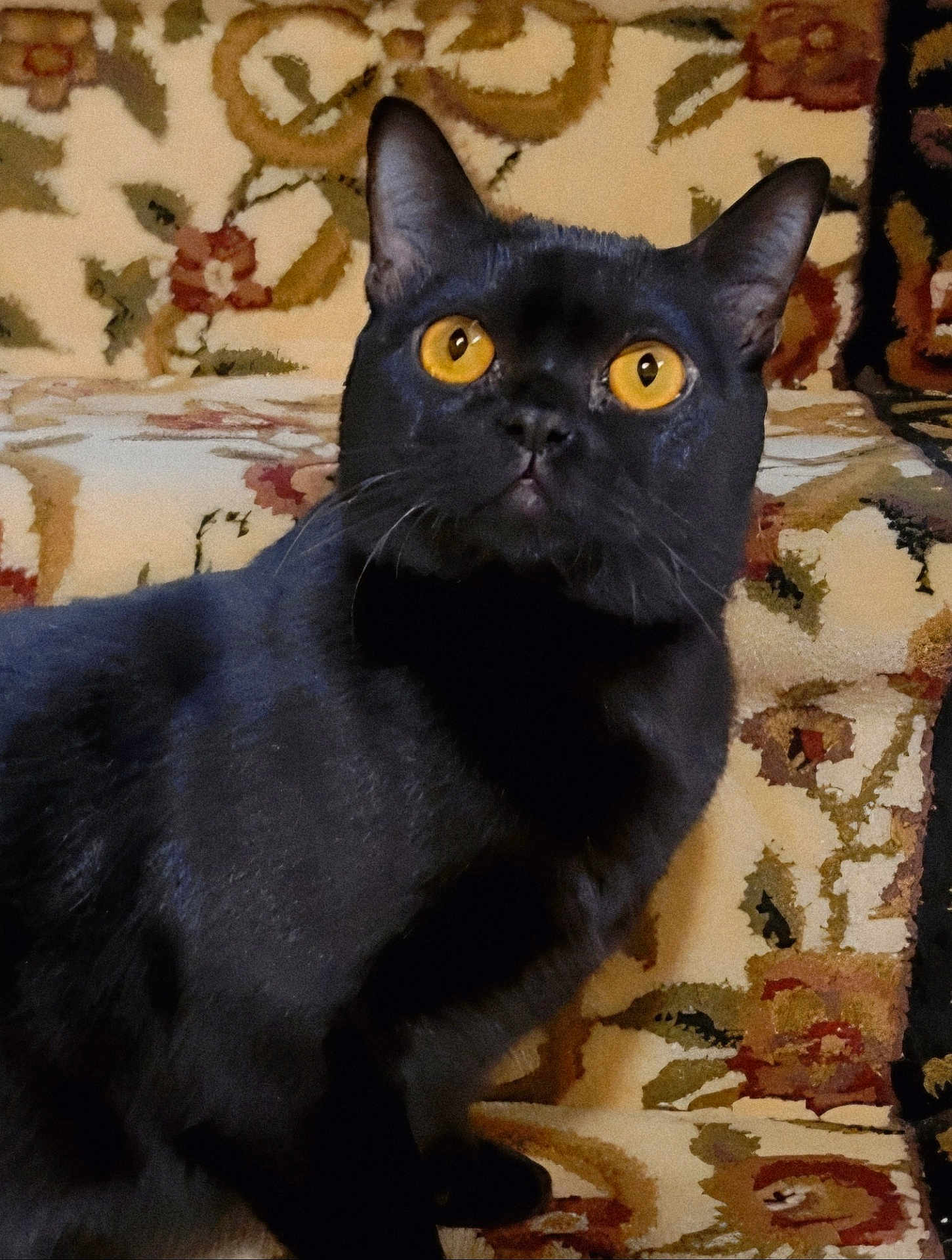 Salem
