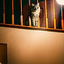 cat, gray_cat, indoor, wooden_railings, lamp, warm_lighting, pet, feline, fur, portrait, animal, cozy, house, balcony, quiet, watchful, cute, domestic, sitting, curious
