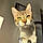 Kitty