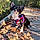 Balto