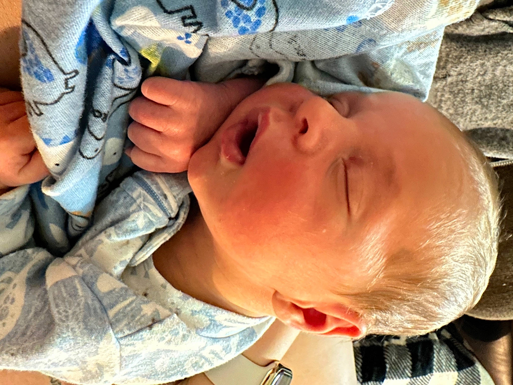 Zaxtyn joined the competition — help win amazing prizes! baby, chest, child, eyelash, eyewear, finger, gesture, glasses, happy, human_body, human_leg, military_camouflage, mouth, nail, nose, pattern, person, skin, thumb, toddler