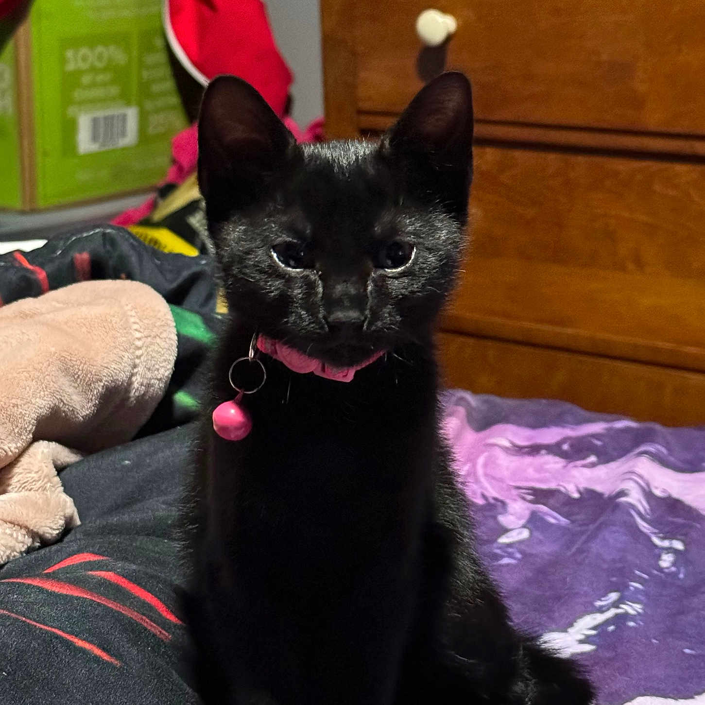 Stella