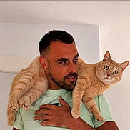 Symba participe au concours pour gagner de l'argent avec cette photo : man, person, beard, portrait, cat, cats, ginger_cat, orange_tabby, pet, animal, indoors, home, white_wall, green_shirt, holding, sitting, whiskers, ears, fur, companionship