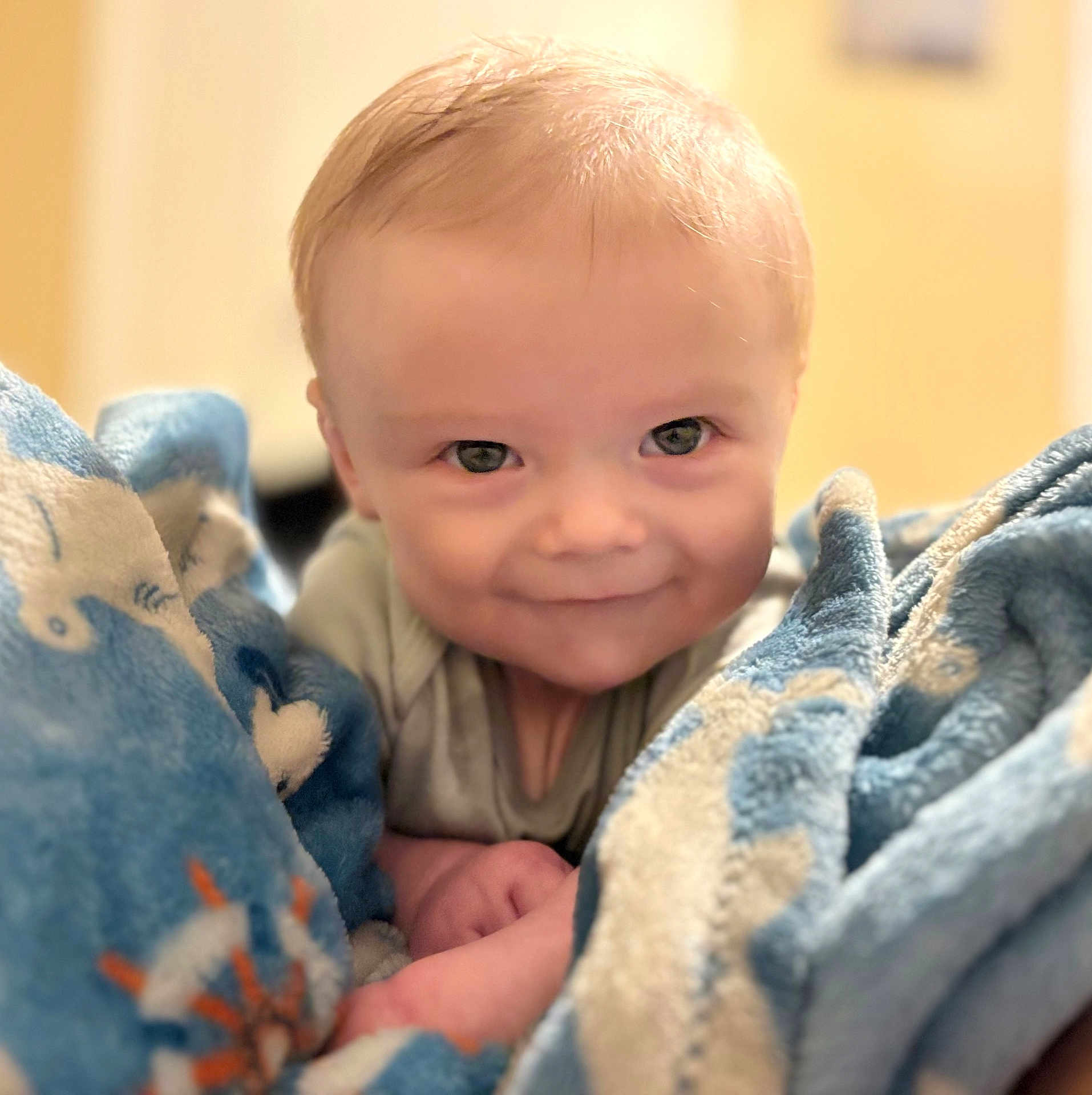 Cyrus is registered to the contest to win money with this photo: baby, child, blanket, blue_blanket, face, smile, eyes, infant, cozy, cute, portrait, indoors, soft_texture, warm, happy, toddler, clothing, person, skin, head