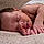 Ryker