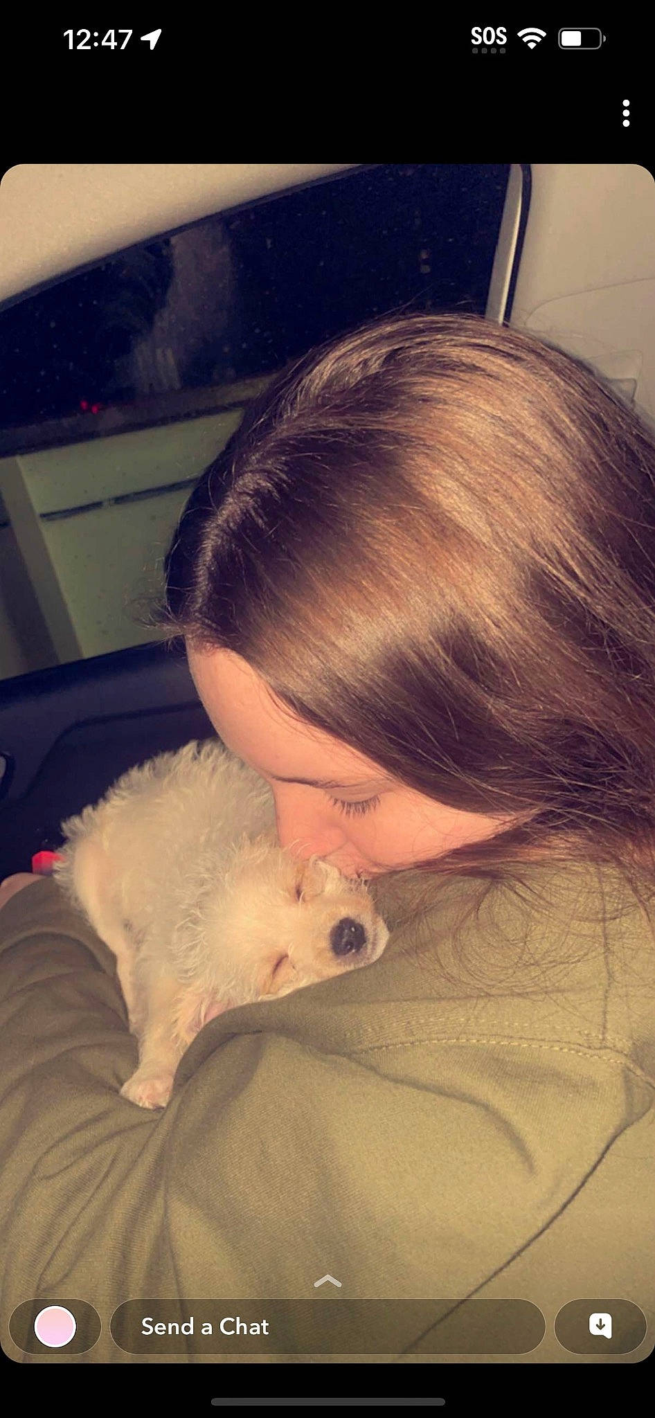 Juno is registered to the contest to win money with this photo: baby, blond, carnivore, child, comfort, companion_dog, dog, dog_breed, eyelash, fawn, felidae, fur, hamster, rodent, skin, spitz, stuffed_toy, toy_dog, vehicle_door, whiskers