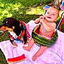 baby, watermelon, dog, grass, towel, outdoor, patriotic, american_flags, summer, cute, happy, smiling, spoon, picnic, tree, pet, animal, child, fun, playful