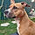 Roxy
