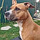 Roxy