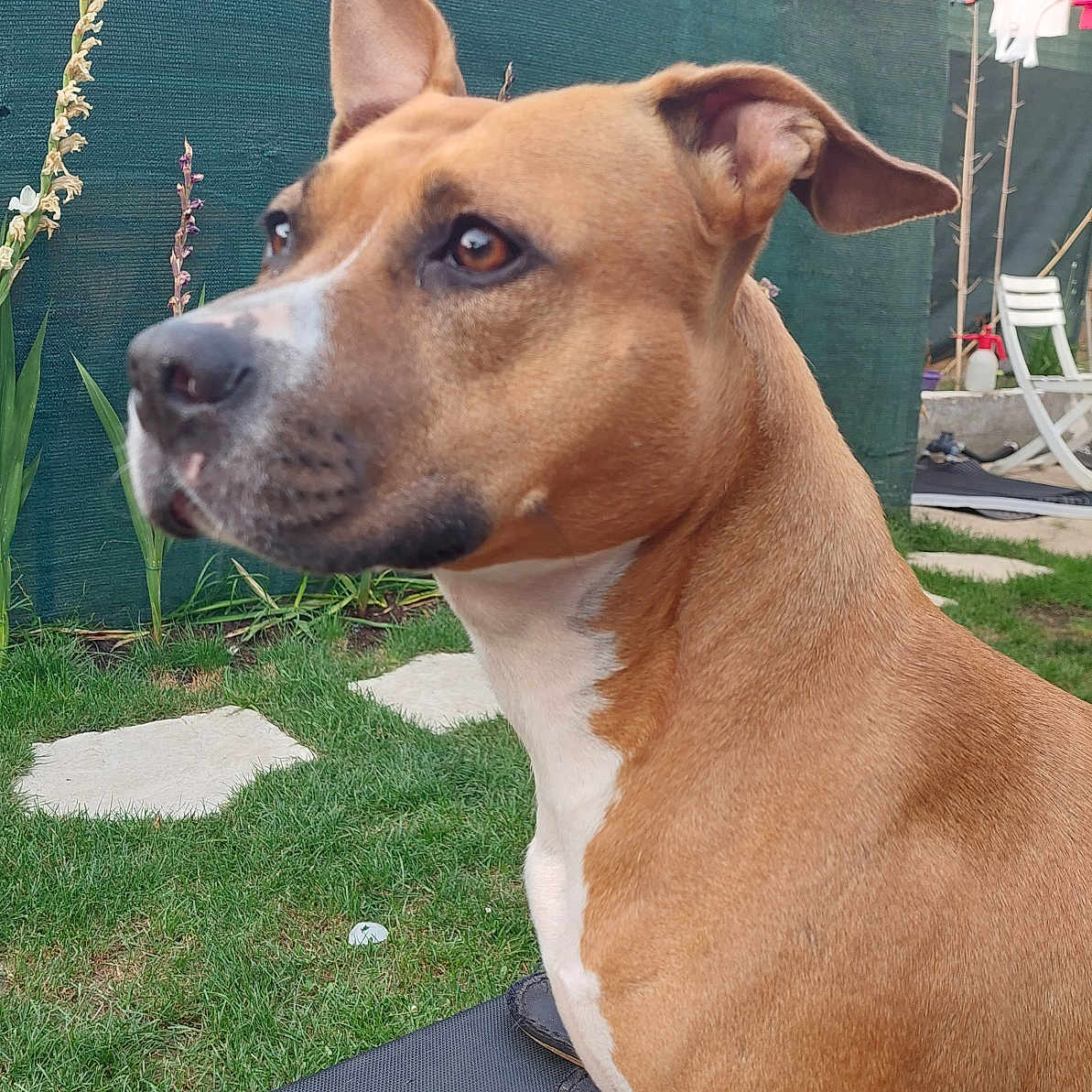 Roxy