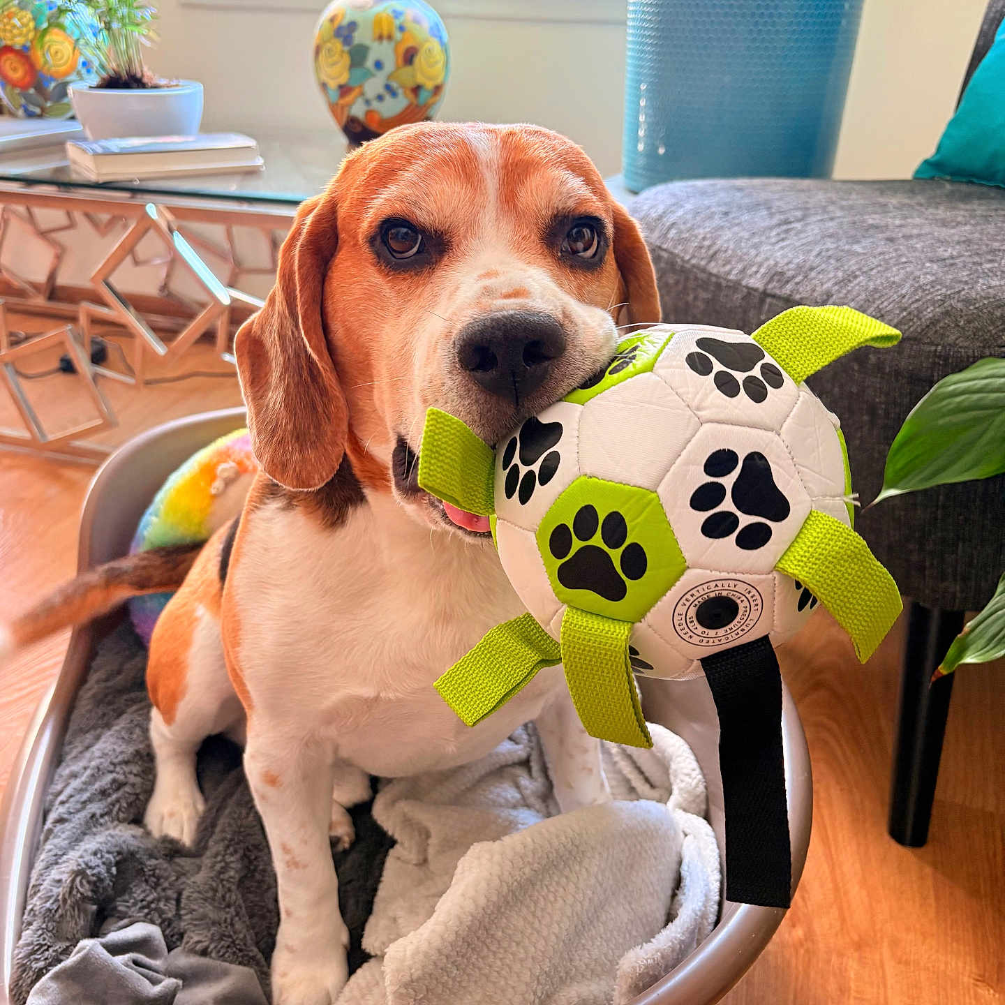 Sir Watson