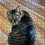 cat, tabby_cat, jigsaw_puzzle, wooden_floor, pet, animal, feline, striped, fur, whiskers, indoor, sitting, looking_back, flooring, puzzle_pattern, close_up, texture, brown, black, gray
