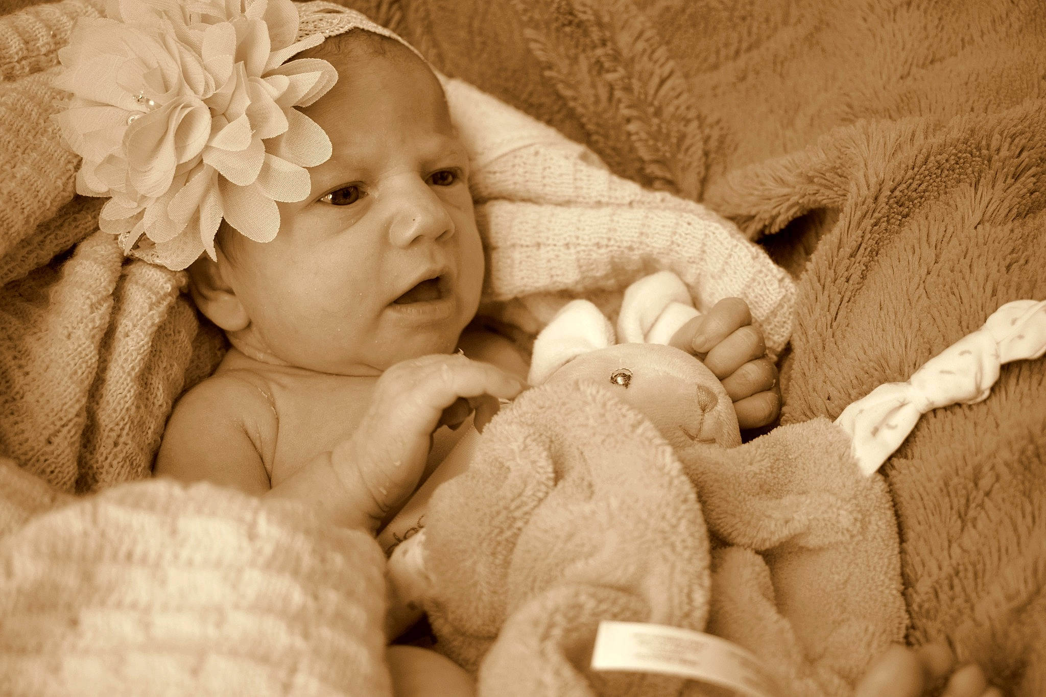 Eleonore participe au concours pour gagner de l'argent avec cette photo : baby, baby_sleeping, birth, child, person, photography, toddler