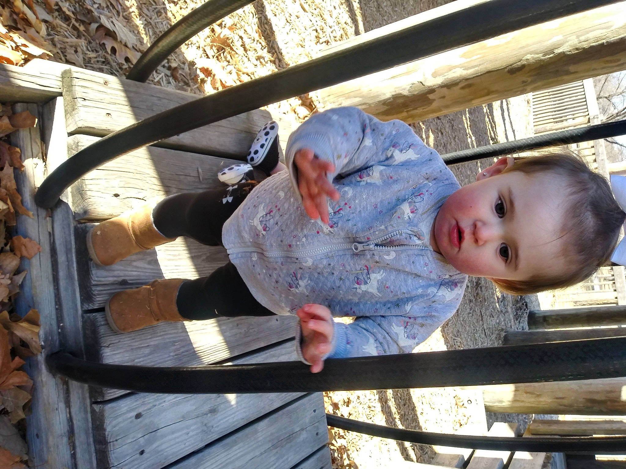 Gabriella joined the competition — help win amazing prizes! auto_part, baby, baby_products, baby_safety, baby_toddler_clothing, child, city, fun, leisure, person, sitting, toddler, tree, wood