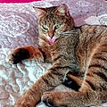 Martine H.