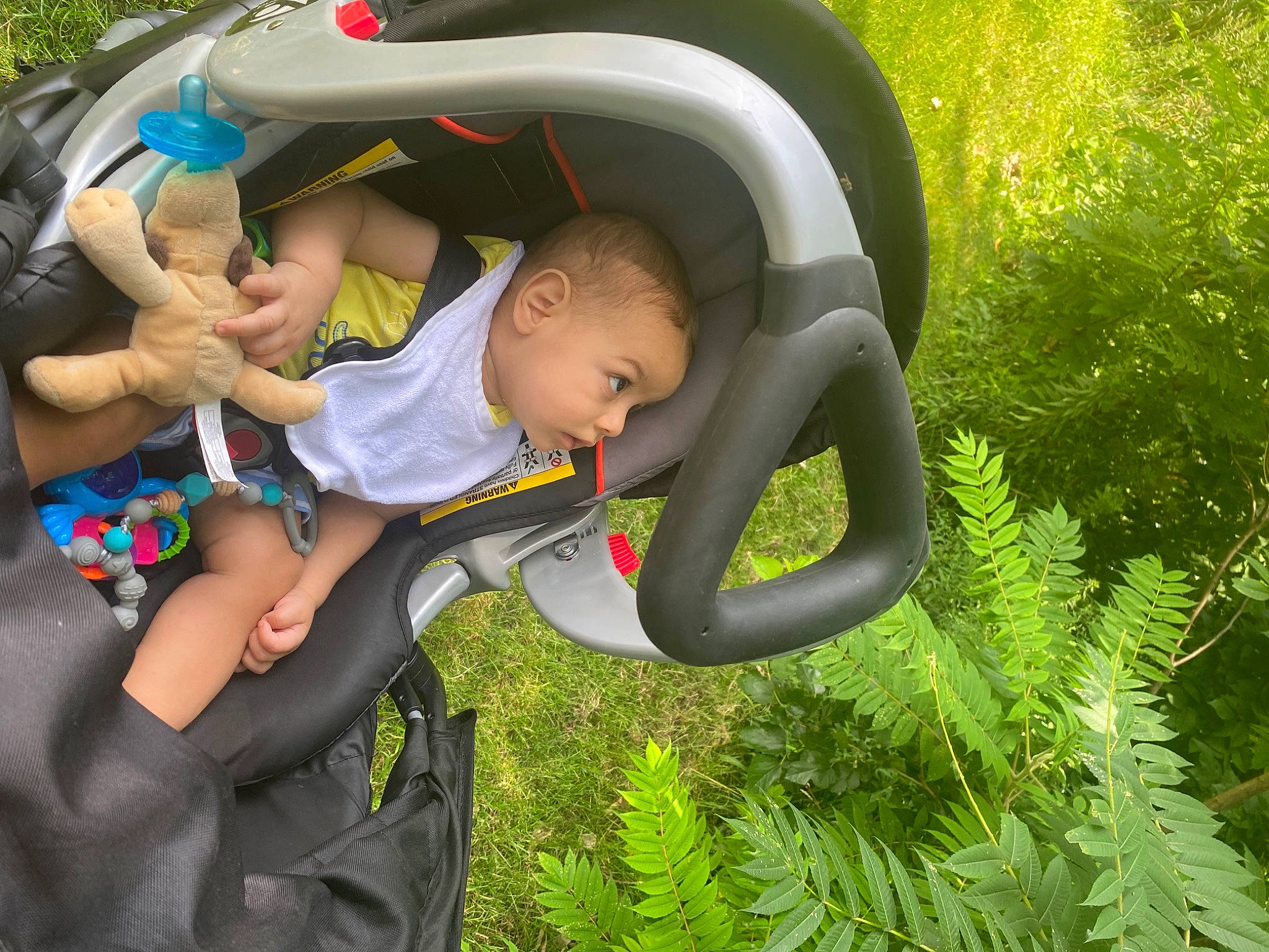 Emilio joined the competition — help win amazing prizes! baby, baby_carriage, baby_products, baby_toddler_clothing, child, fun, garden, grass, happy, lap, leisure, people_in_nature, person, personal_protective_equipment, plant, recreation, shorts, sitting, terrestrial_plant, toddler