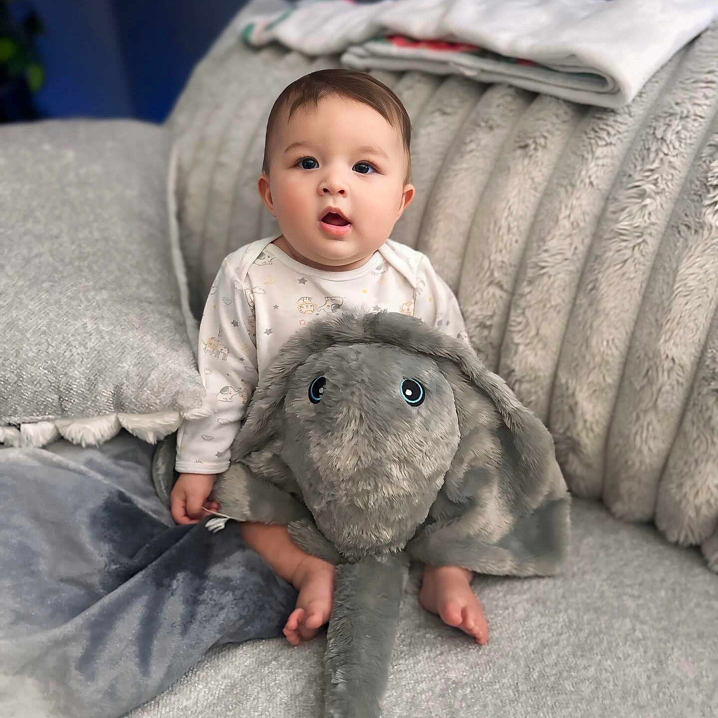 Kai joined the competition — help win amazing prizes! animal, baby, babycrawling, bear, blanket, canine, clothing, crawling, dog, face, head, person, pet, photography, portrait, quilt, sitting, sleeve