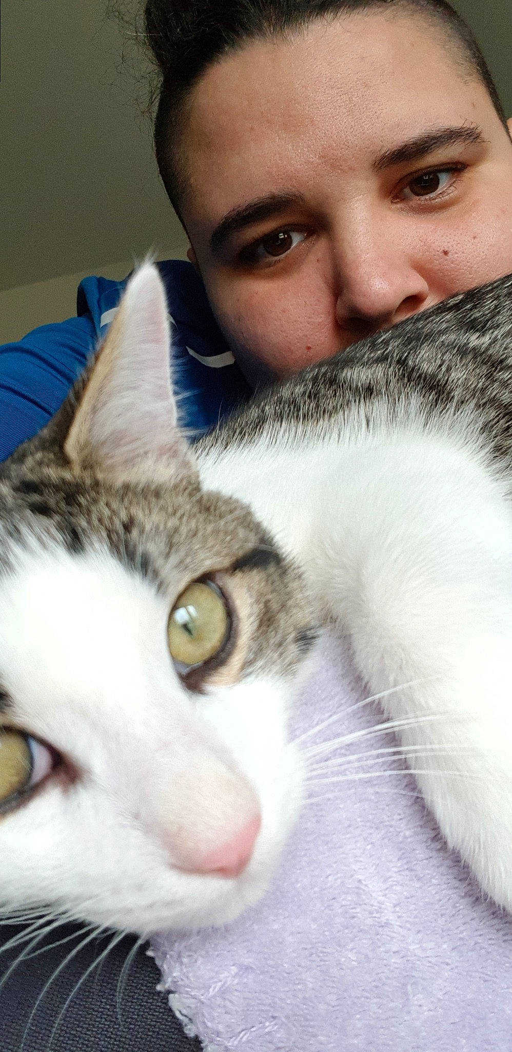 Mouky a rejoint le concours — aidez-le/la à gagner de superbes lots ! aegean_cat, american_wirehair, carnivore, cat, close_up, domestic_short_haired_cat, ear, european_shorthair, eye, face, felidae, forehead, fur, head, iris, nose, person, skin, small_to_medium_sized_cats, snout