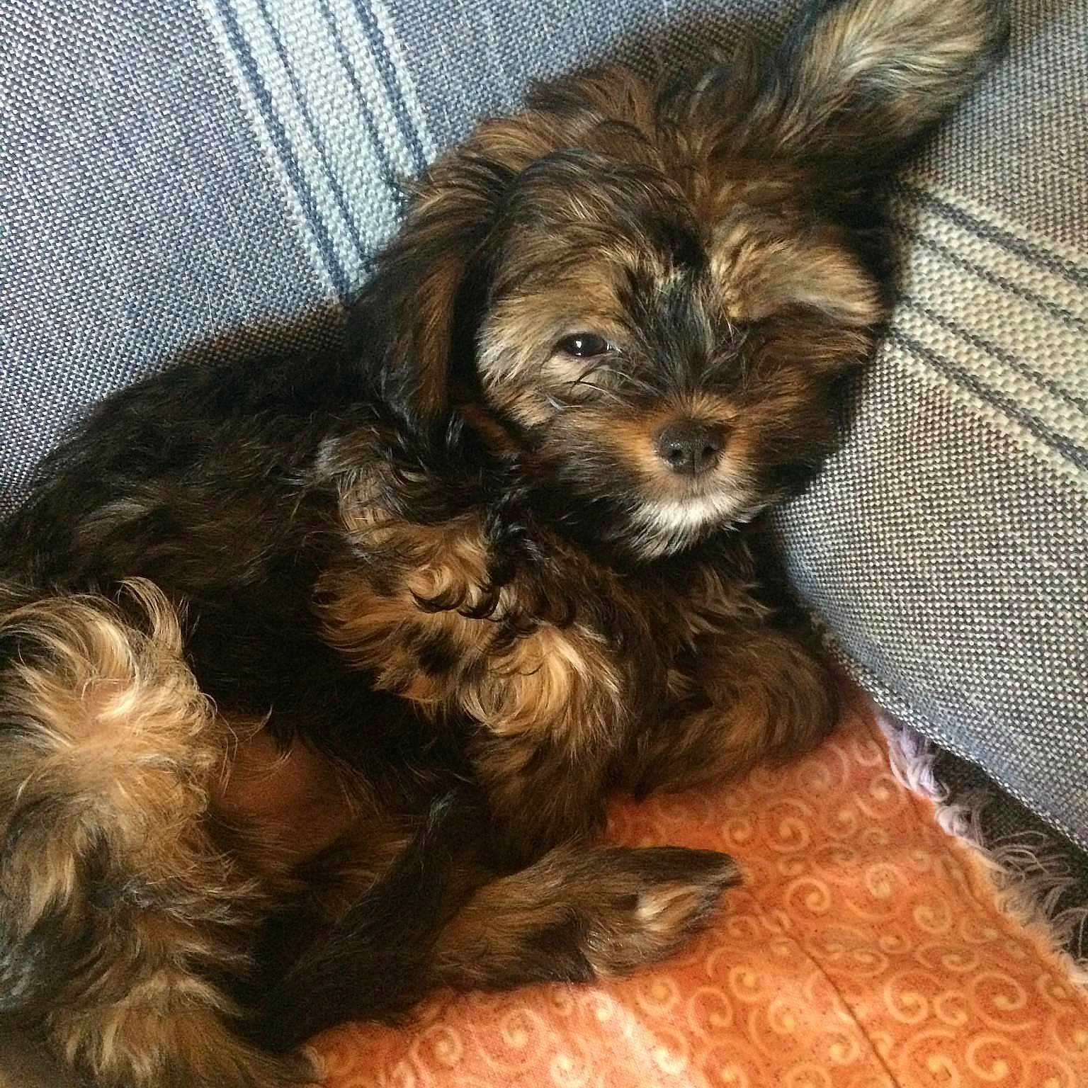Maddison is registered to the contest to win money with this photo:
