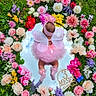 baby, pink, fairy, wings, tutu, mirror, flowers, floral_wreath, grass, outdoor, reflection, headband, baby_clothing, colorful, nature, cute, infant, month_marker, celebration, soft_toys