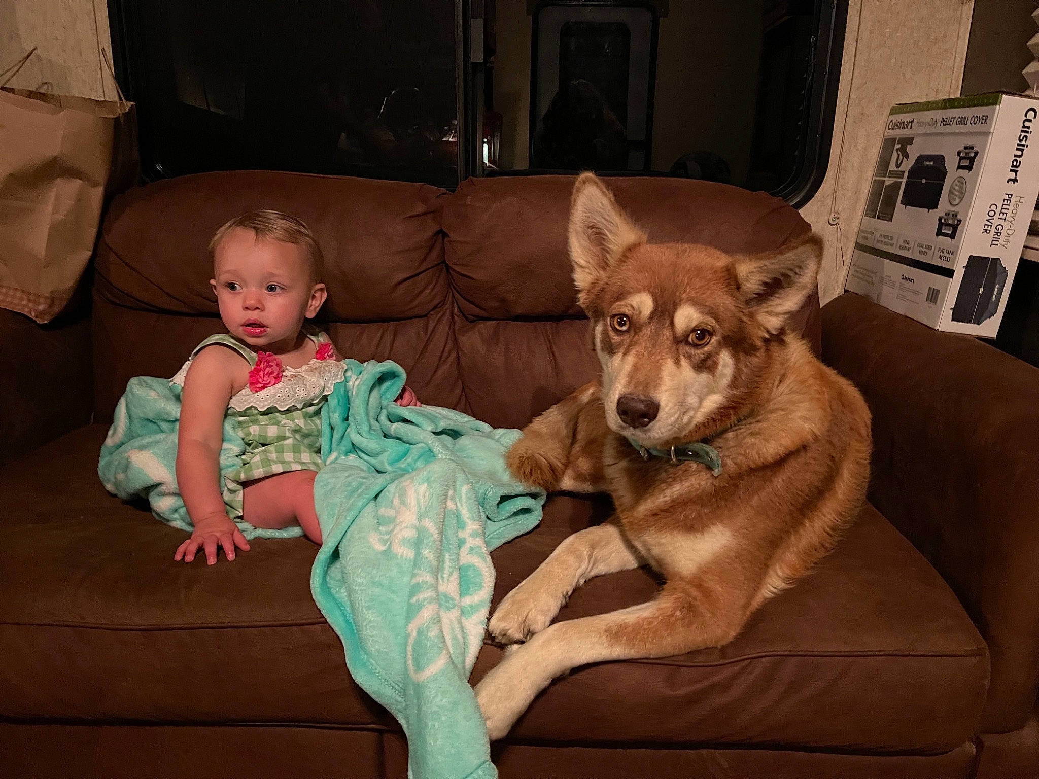 Linda joined the competition — help win amazing prizes! baby, baby_toddler_clothing, carnivore, chair, comfort, companion_dog, couch, dog, dog_breed, fawn, flooring, fun, furniture, lap, living_room, mammal, person, picture_frame, pillow, toddler