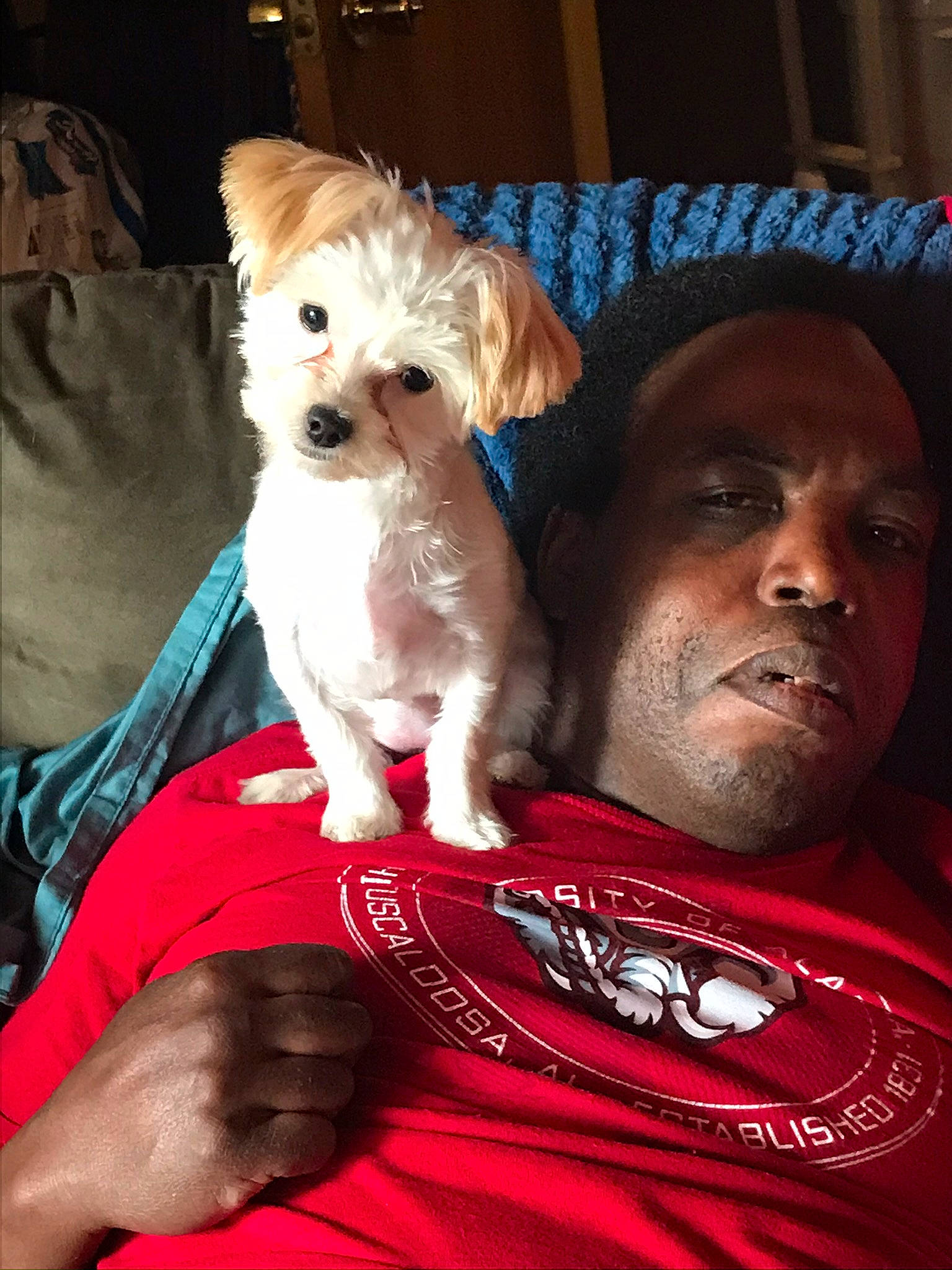 Lyla joined the competition — help win amazing prizes! bolonka, canidae, carnivore, cavachon, cavapoo, companion_dog, dog, dog_breed, dog_clothes, havanese, maltepoo, maltese, morkie, non_sporting_group, puppy, puppy_love, schnoodle, selfie, skin, toy_dog