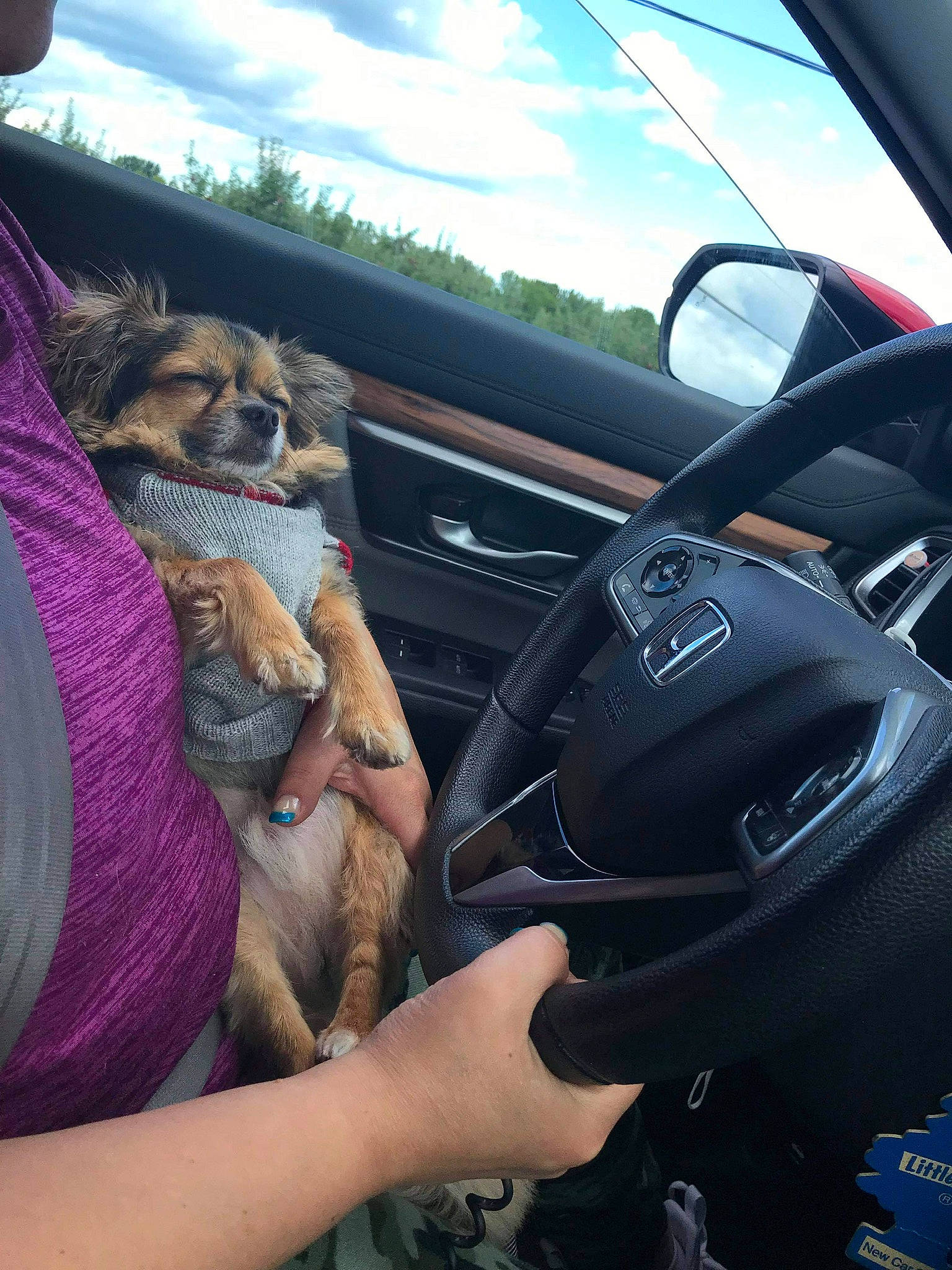 Max is registered to the contest to win money with this photo: auto_part, automotive_design, automotive_exterior, automotive_mirror, car, center_console, cloud, land_vehicle, mode_of_transport, motor_vehicle, personal_luxury_car, radio, satellite_radio, sky, steering_part, steering_wheel, vehicle, vehicle_audio, vehicle_door, wheel