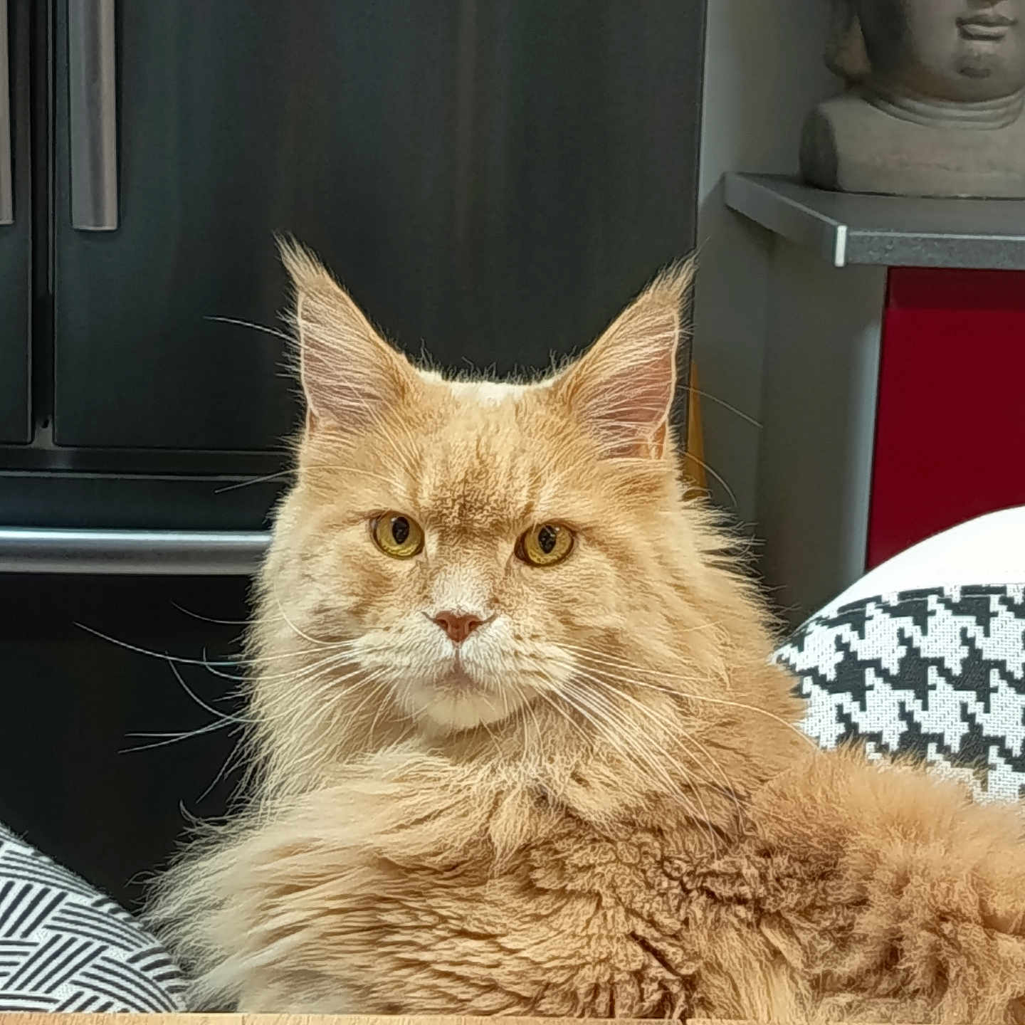 Tigrou