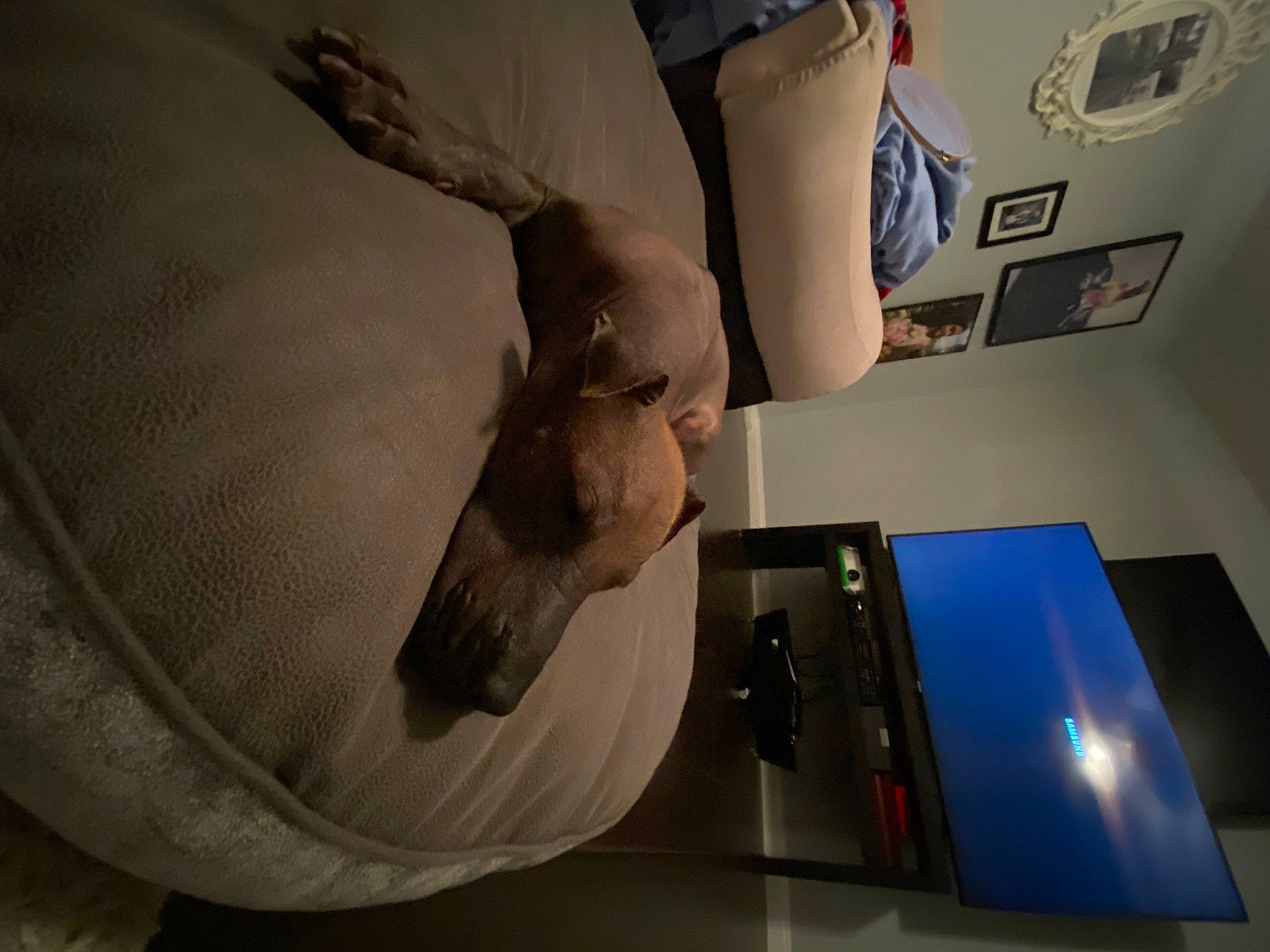 Cortez is registered to the contest to win money with this photo: arm, comfort, finger, hand, leg