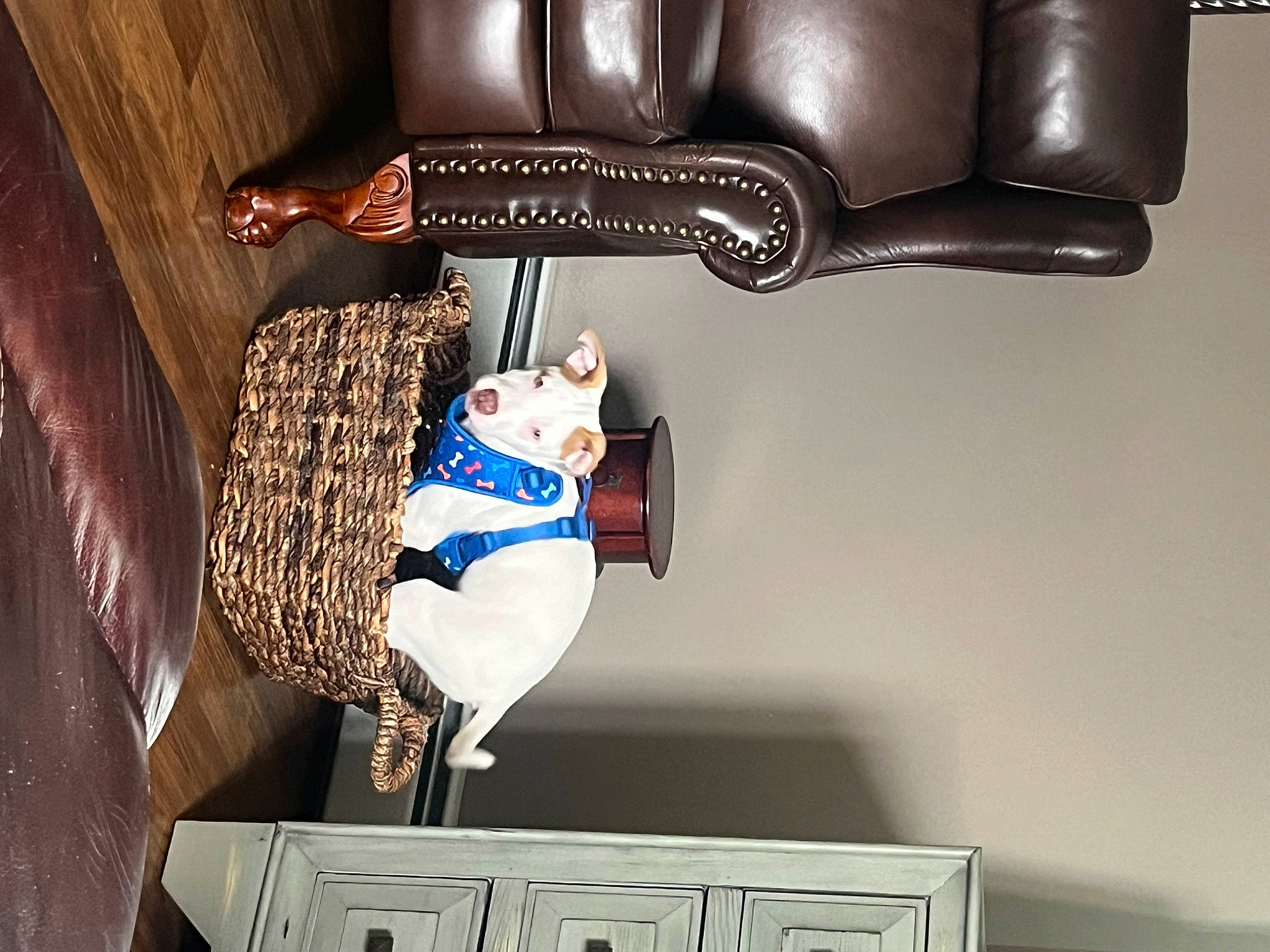 Atlas joined the competition — help win amazing prizes! automotive_exhaust, cabinetry, comfort, drawer, machine, room, sports_uniform, sportswear, suit, wood