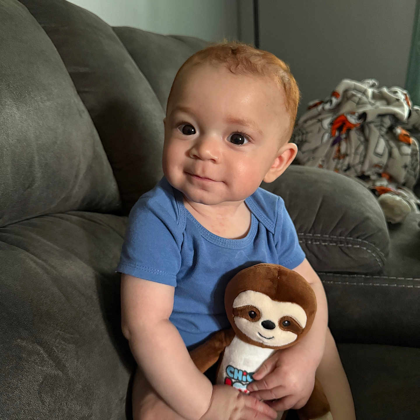 Lucas joined the competition — help win amazing prizes! blanket, blue_shirt, child, couch, cozy, curly_hair, cute, furniture, happy, home, indoor, person, plush_toy, portrait, seated, sloth, smiling, soft_light, toddler, young_child