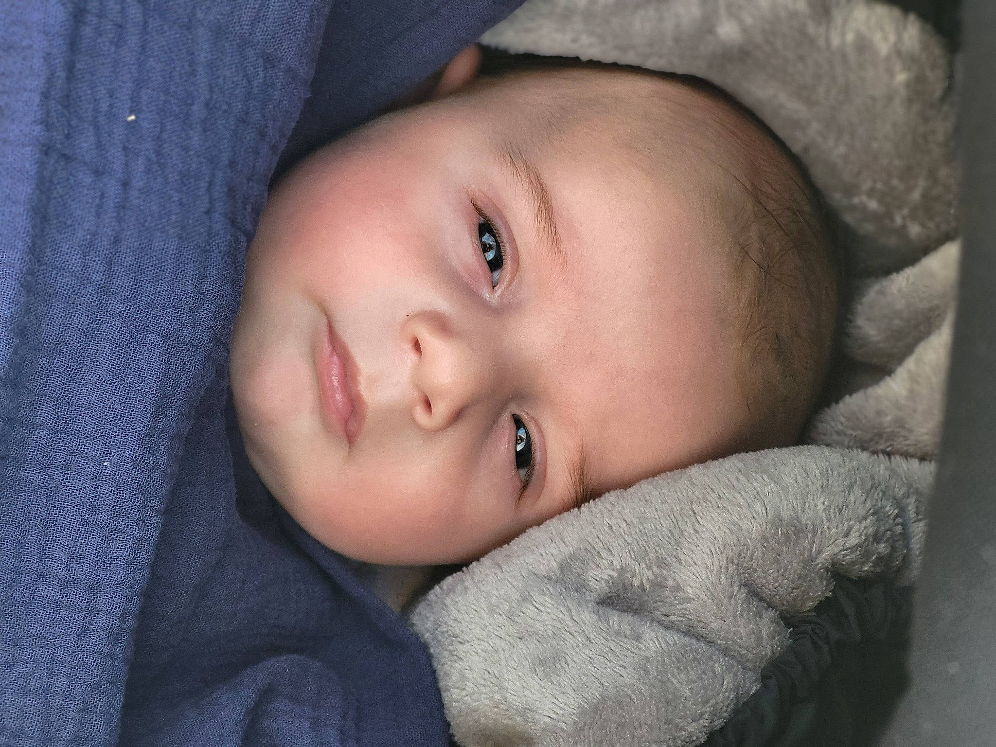 Menzo a rejoint le concours — aidez-le/la à gagner de superbes lots ! baby, baby_toddler_clothing, cheek, child, close_up, comfort, electric_blue, eyebrow, eyelash, flash_photography, forehead, grass, iris, lip, mouth, nose, person, skin, toddler, tree