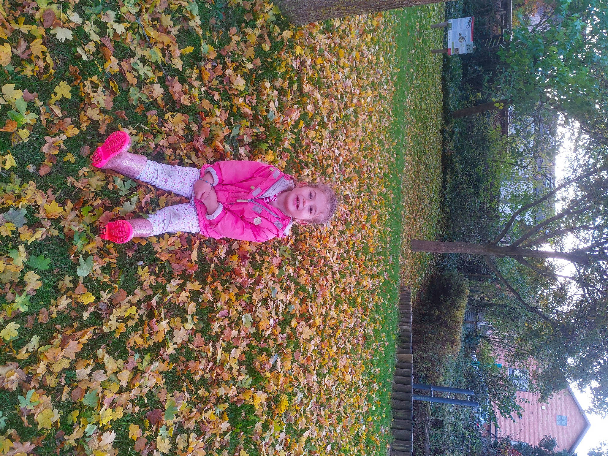 Eya participe au concours pour gagner de l'argent avec cette photo : annual_plant, art, carmine, flower, grass, groundcover, joy, magenta, organism, people_in_nature, person, petal, plant, road_surface, shrub, sky, tints_and_shades, tree, vegetation, visual_arts