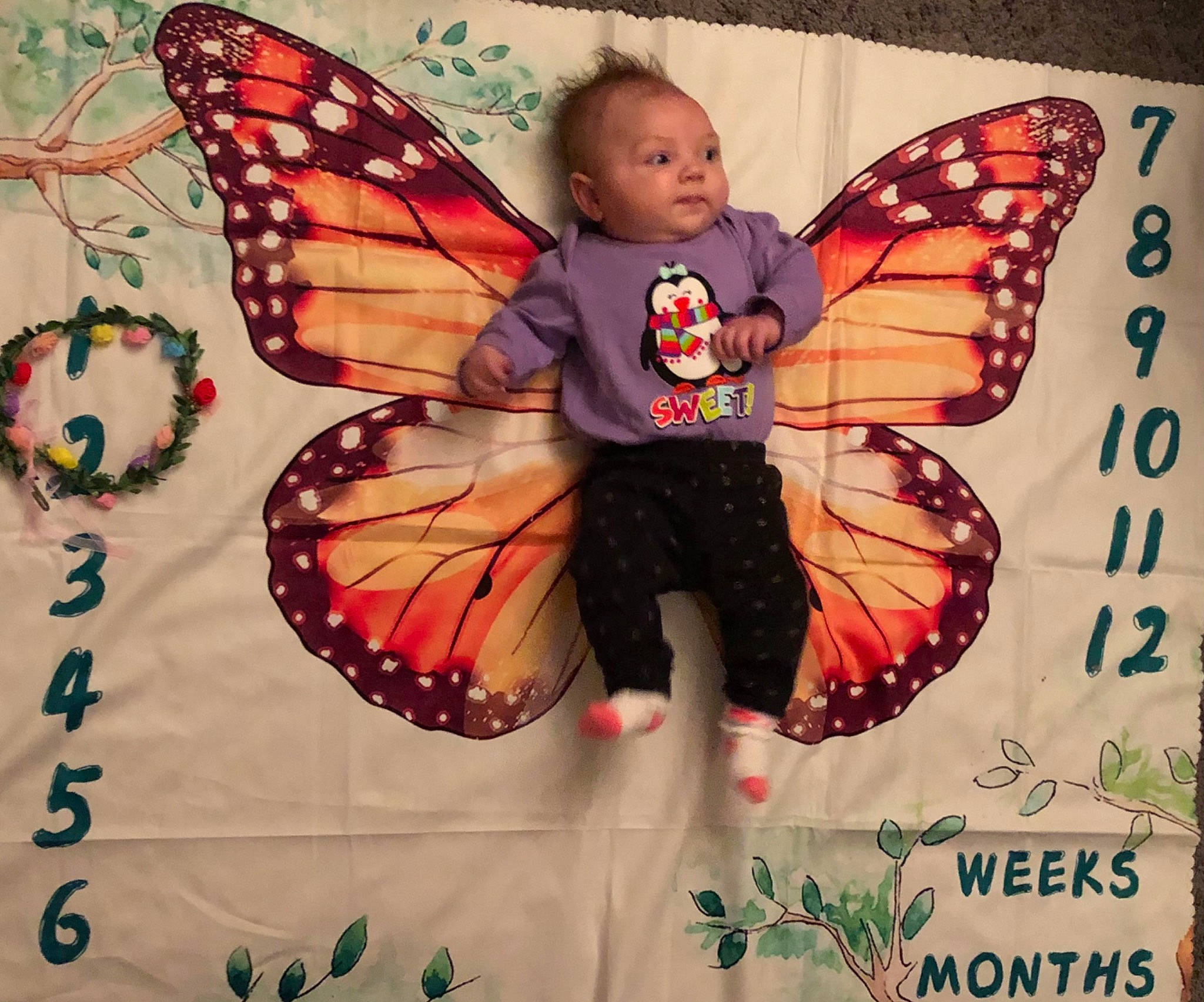 Hadassah joined the competition — help win amazing prizes! art, arthropod, brush_footed_butterfly, butterfly, event, fictional_character, font, graphics, illustration, insect, invertebrate, moths_and_butterflies, mythical_creature, painting, pattern, person, pollinator, symmetry, toddler, visual_arts