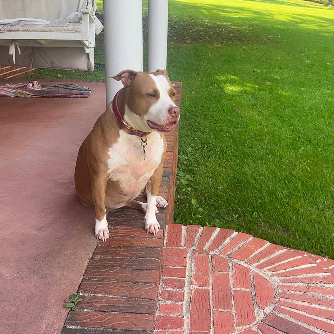 Nala Rogers