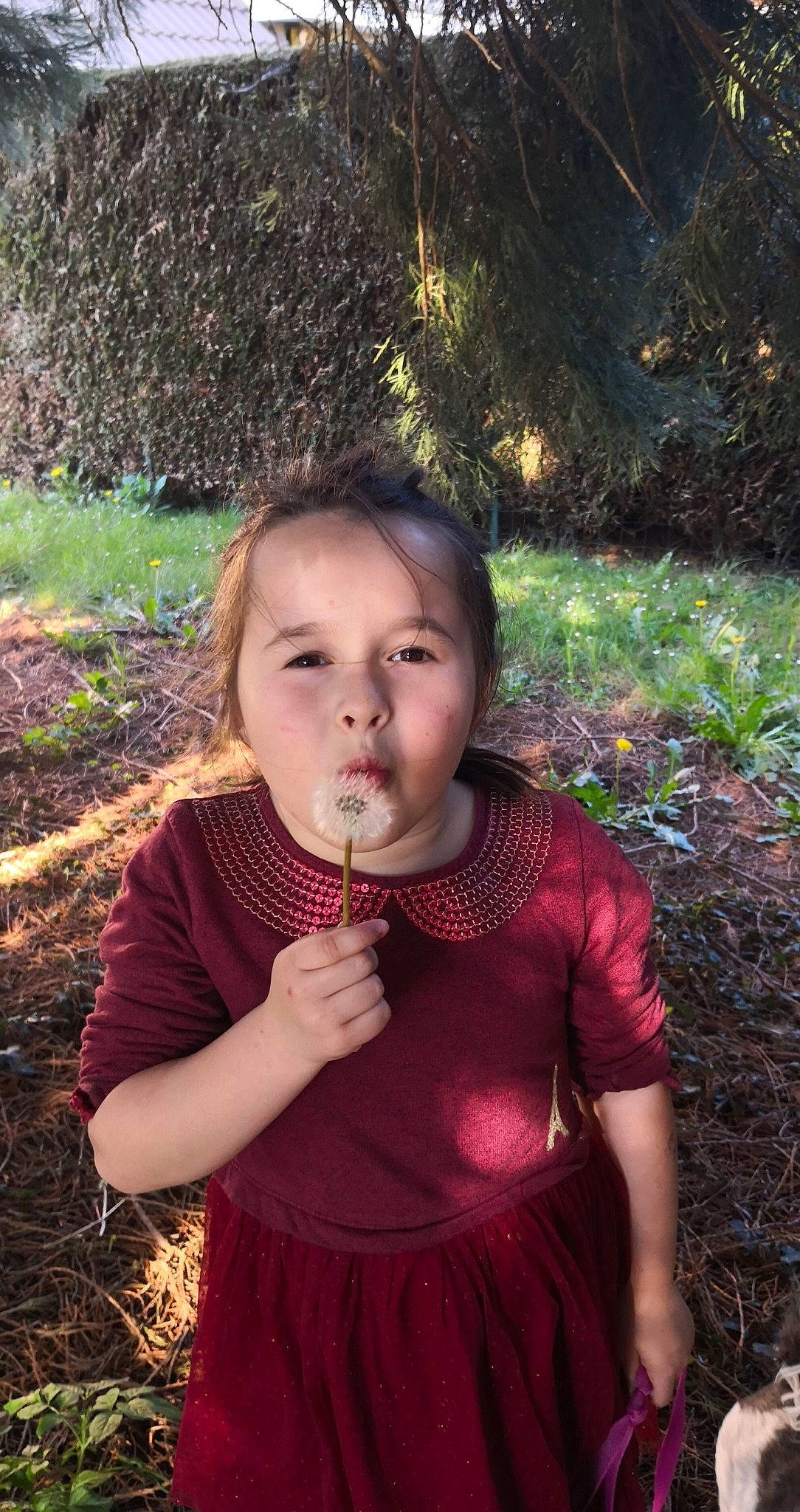 Louanne participe au concours pour gagner de l'argent avec cette photo : adaptation, child, grass, grass_family, happy, leaf, person, plant, portrait, smile, soil, toddler
