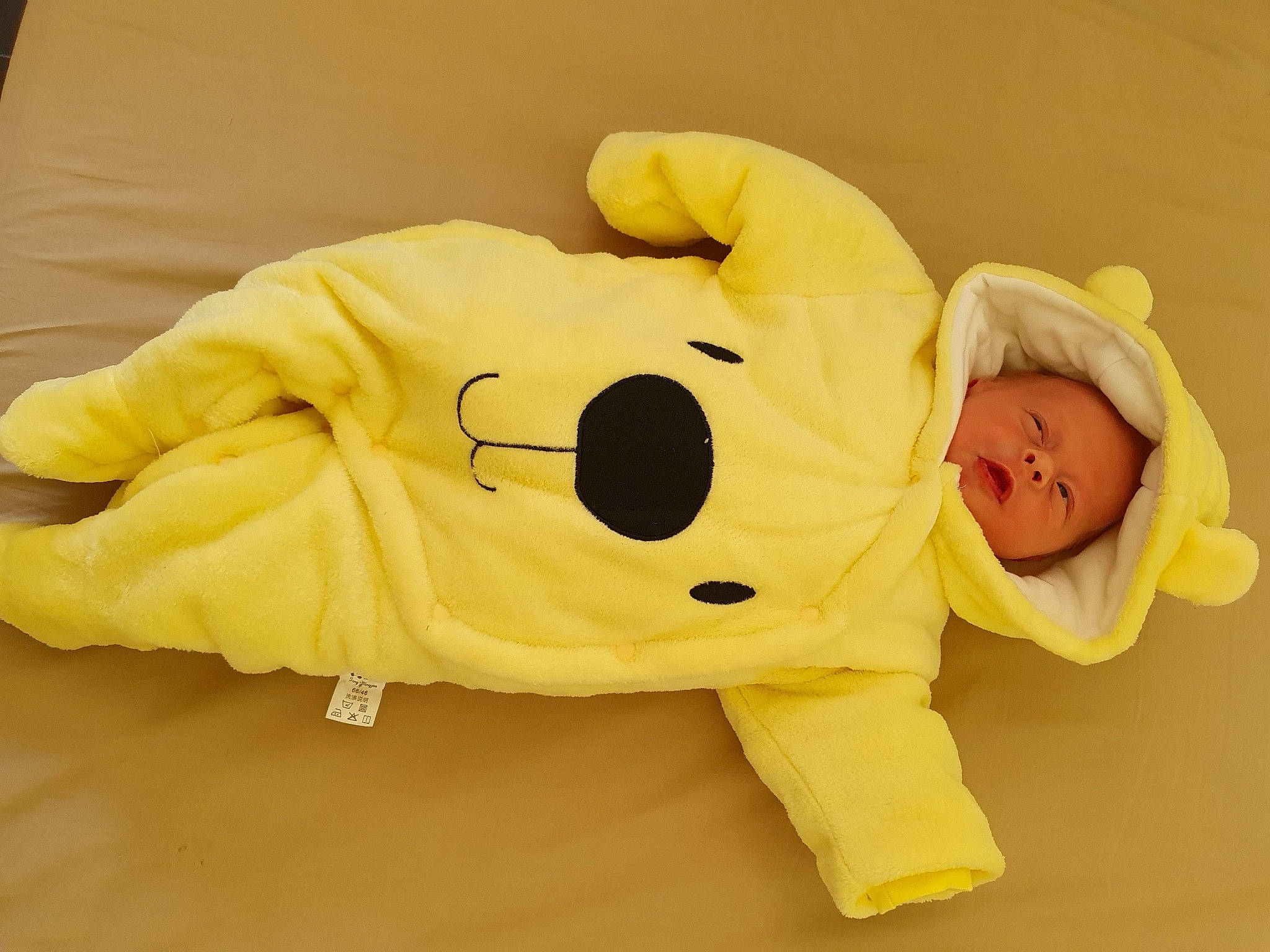 Jules participe au concours pour gagner de l'argent avec cette photo : baby, baby_sleeping, child, dog_clothes, font, outerwear, person, plush, stuffed_toy, toddler, toy, yellow