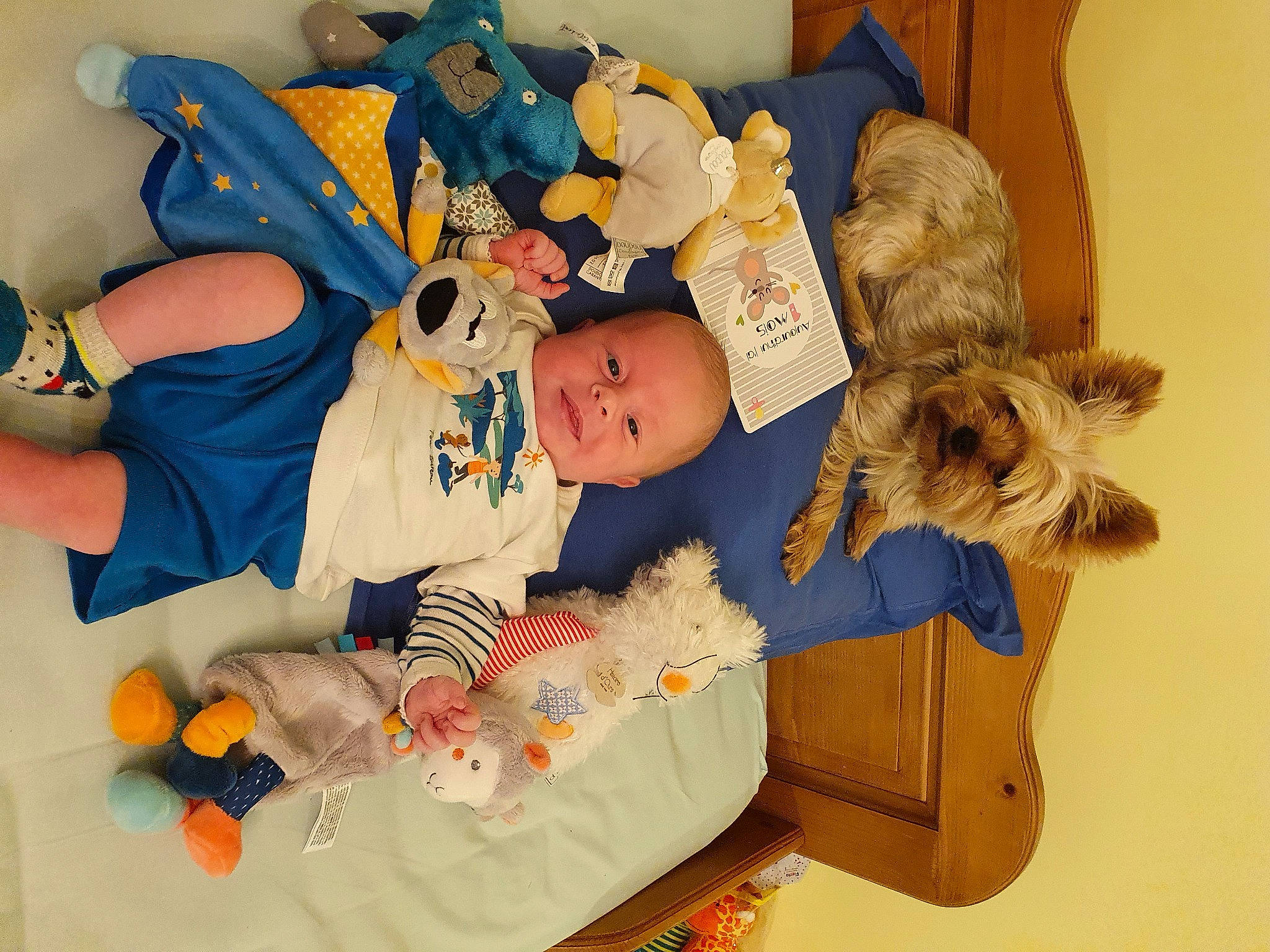 Jules participe au concours pour gagner de l'argent avec cette photo : baby_toys, child, person, room, stuffed_toy, teddy_bear, toddler, toy