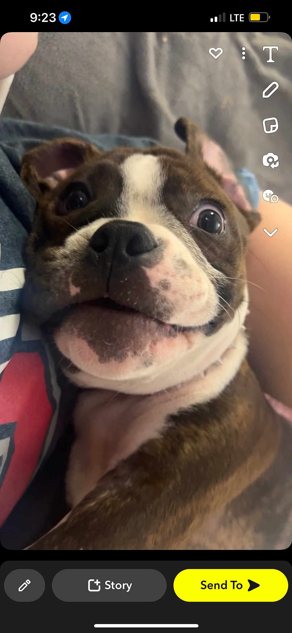 Milo