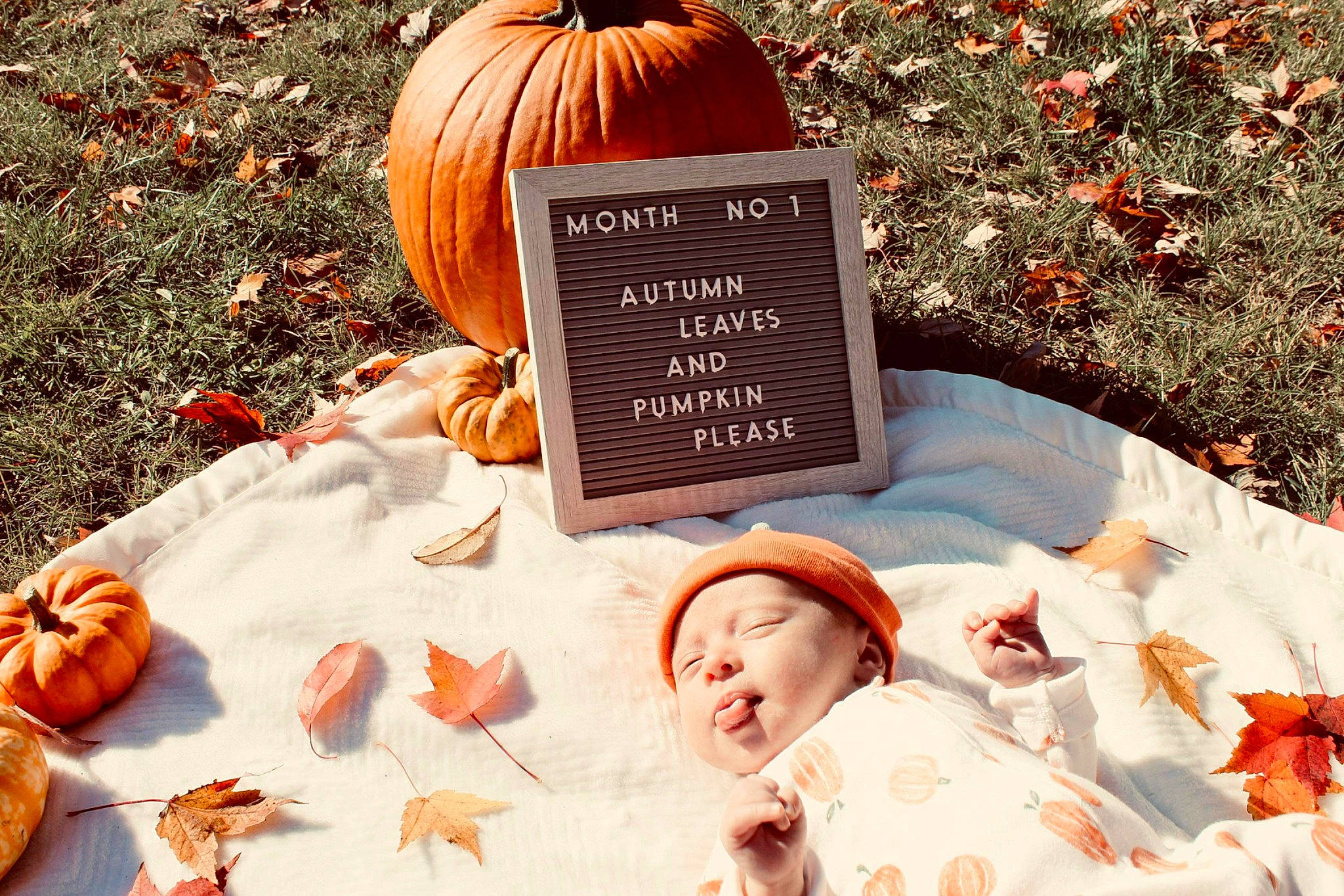 Emerson joined the competition — help win amazing prizes! calabaza, cemetery, cucurbita, gourd, grass, grave, happy, headwear, leaf, linens, morning, natural_foods, orange, people_in_nature, person, photograph, plant, pumpkin, squash, toddler